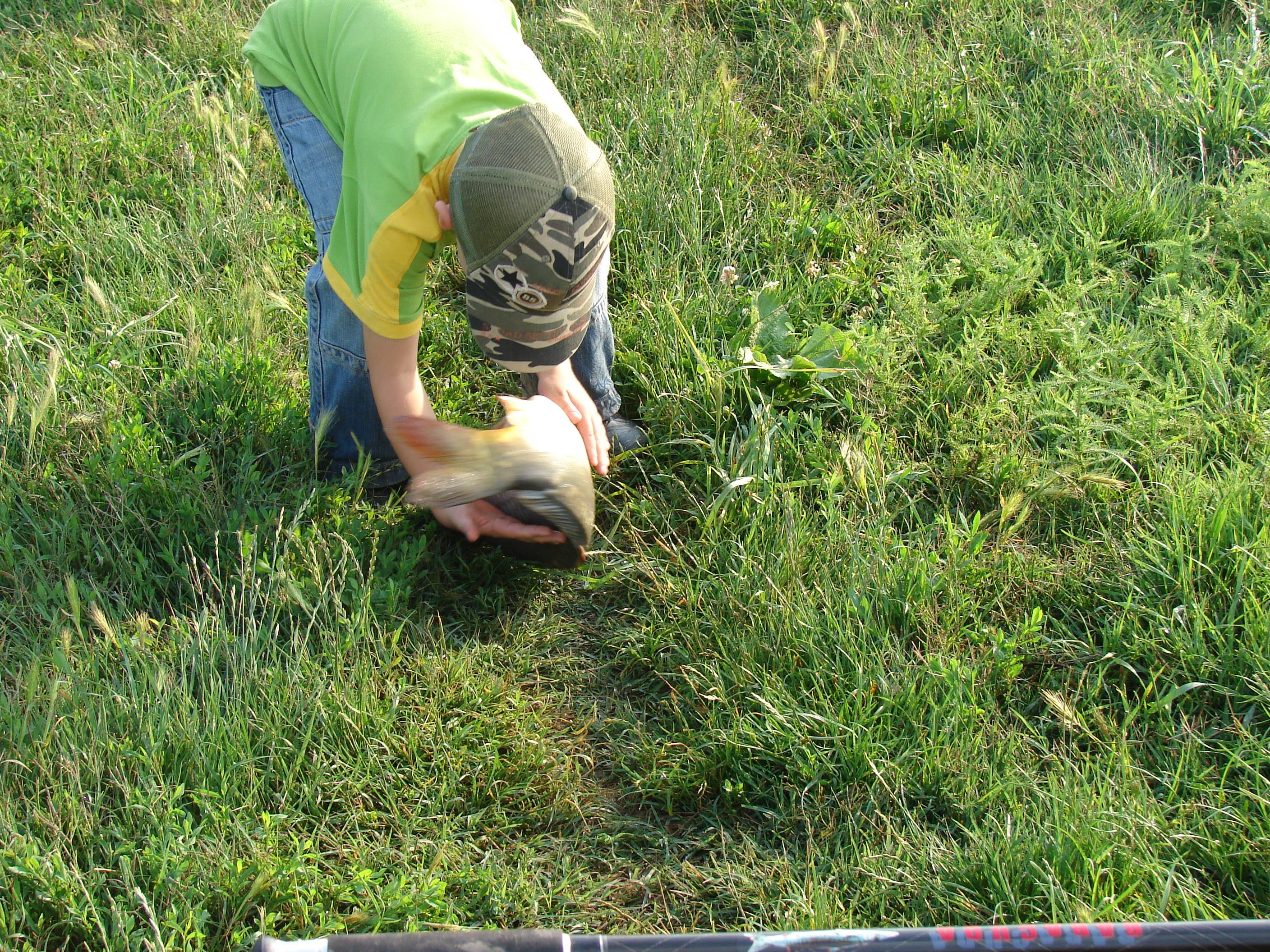 pescuit - DSC07636.JPG